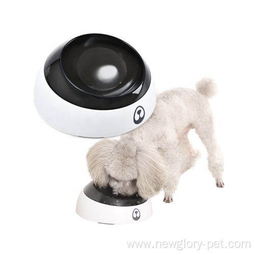 Removable Easy To Clean Tilted Pet Feeder